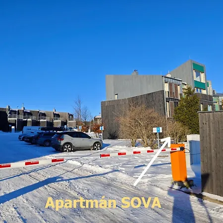 Apartman Sova - Klinovec Loucna pod Klinovcem Exterior photo